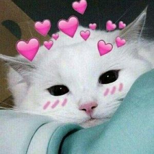 Meet your Posher, Marleny